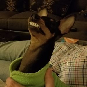 Meet your Posher, Corey